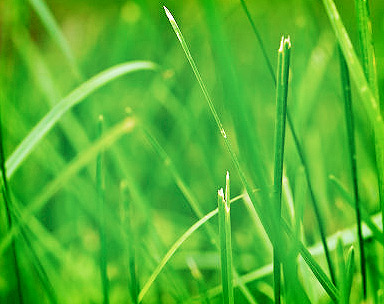 便宜的充值网站求的网站ddos隐藏源ip